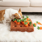 Dog Snuffle Mat Treat-Hiding Removable Base & Washable