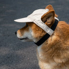 Dog Sun Hat Adjustable Strap Ear Cutouts