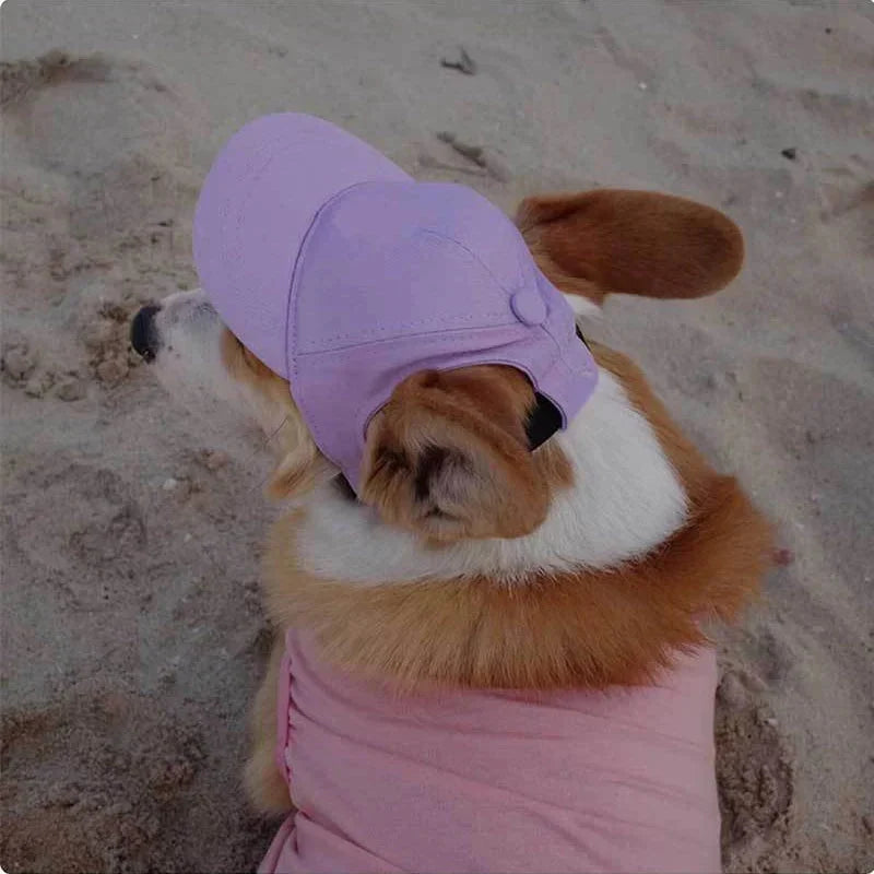 Dog Sun Hat Adjustable Strap Ear Cutouts