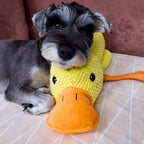 Dog Toy Chew & Tug Realistic Quack