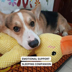 Dog Toy Chew & Tug Realistic Quack