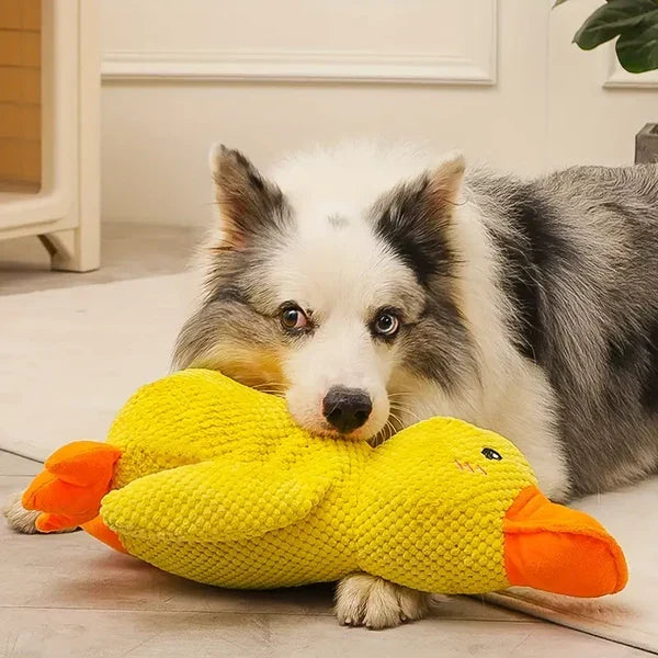 Dog Toy Durable Chew Resistant Calming Quack Squeaker