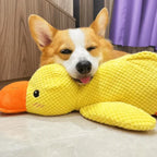 Dog Toy Durable Chew Resistant Calming Quack Squeaker