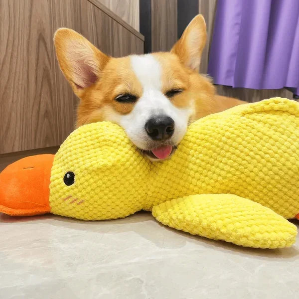 Dog Toy Durable Chew Resistant Calming Quack Squeaker