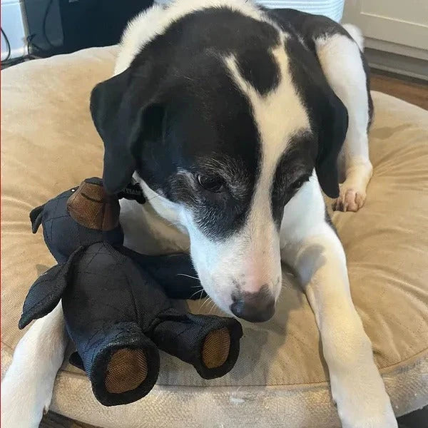 Dog Toy Durable Plush Reinforced Seams & Large Squeaker