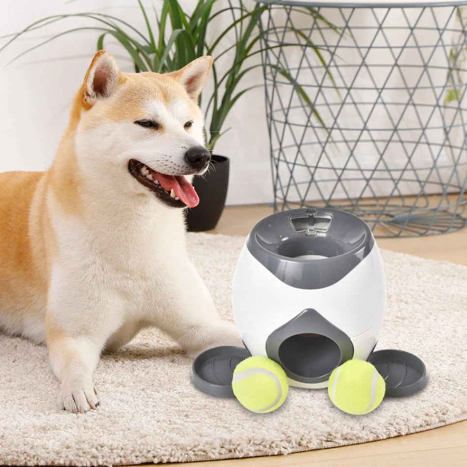 Dog Toy Interactive Treat Dispenser & Slow Feeder
