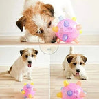 Dog Toy Motion-Activated LED Non-Toxic