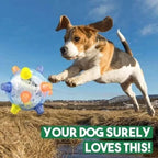Dog Toy Motion-Activated LED Non-Toxic