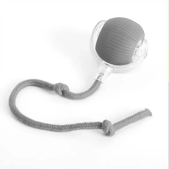 Dog Toy Motion-Activated Rolling Ball Removable Tail