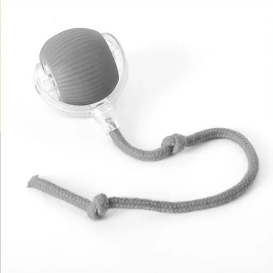 Dog Toy Motion-Activated Rolling Ball Removable Tail