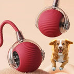 Dog Toy Motion-Activated Rolling Ball Removable Tail