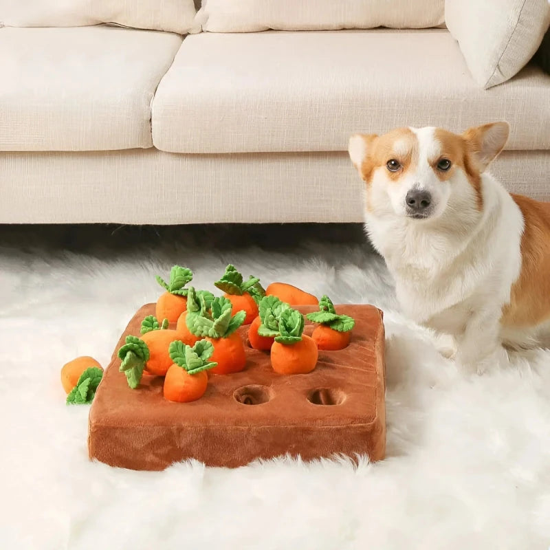 Dog Toy Set Sniff-and-Seek Plush Set of 12