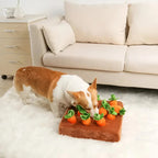 Dog Toy Set Sniff-and-Seek Plush Set of 12