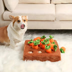 Dog Toy Set Sniff-and-Seek Plush Set of 12