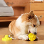 Dog Toy Suction-Cup Textured Chew Ball