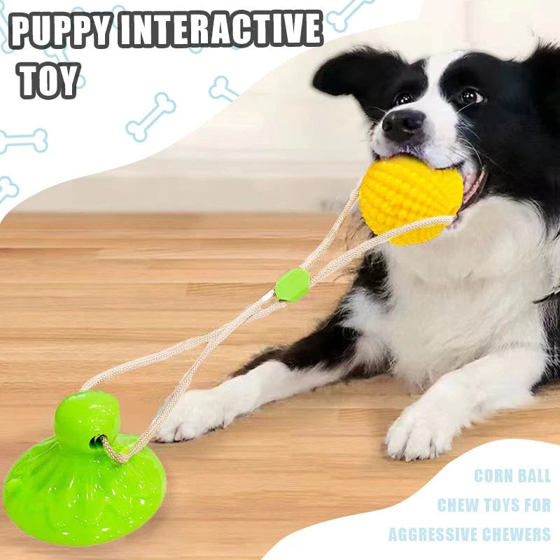 Dog Toy Suction-Cup Textured Chew Ball