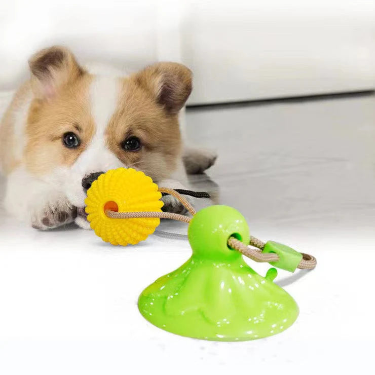 Dog Toy Suction-Cup Textured Chew Ball