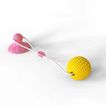 Dog Toy Suction-Cup Textured Chew Ball