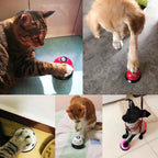 Dog Training Bell Potty Training Non-Skid Base