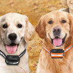 Dog Training Collar 0.62-Mile Range Rechargeable & Waterproof