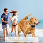 Dog Training Collar 0.62-Mile Range Rechargeable & Waterproof