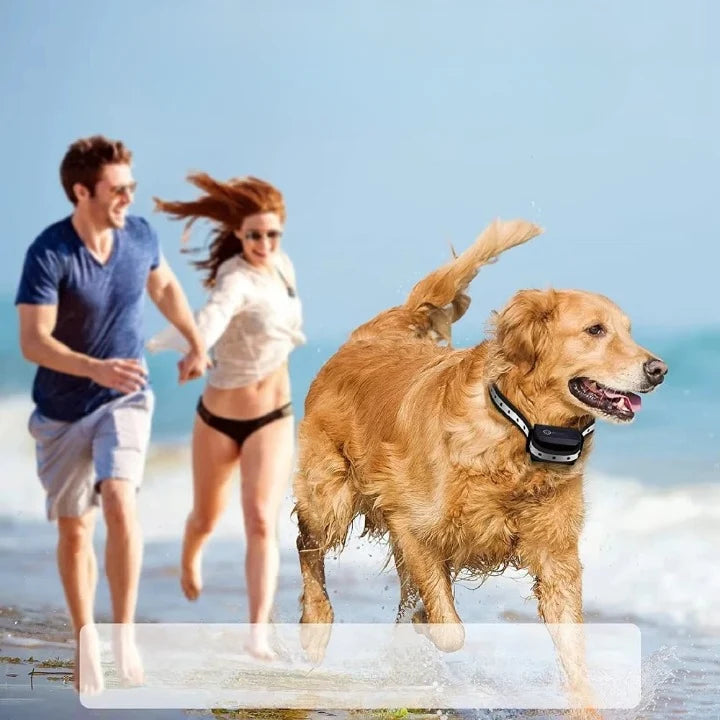 Dog Training Collar 0.62-Mile Range Rechargeable & Waterproof