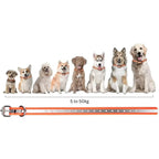 Dog Training Collar 0.62-Mile Range Rechargeable & Waterproof