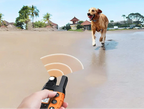 Dog Training Collar 0.62 Mile Range Rechargeable & Waterproof