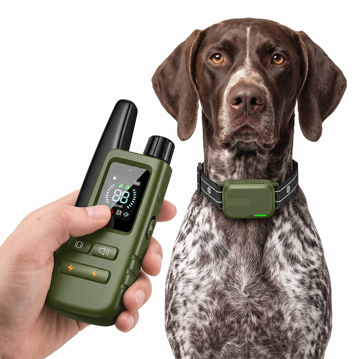 Dog Training Collar 1,006m Range Waterproof Adjustable Fit
