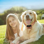Dog Training Collar 1000m Range Vibration Sound & Shock