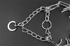 Dog Training Collar Adjustable Metal Links & Rubber Tips
