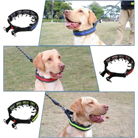 Dog Training Collar No-Pull Control Adjustable & Quick-Release