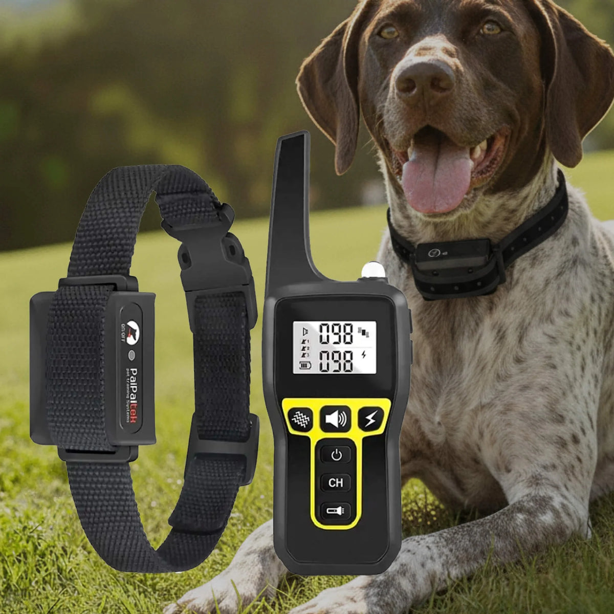 Dog Training Collar Waterproof Remote Control 3-Mode