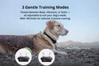Dog Training Collar Waterproof Remote Control 3-Mode