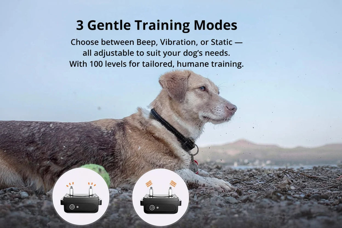 Dog Training Collar Waterproof Remote Control 3-Mode