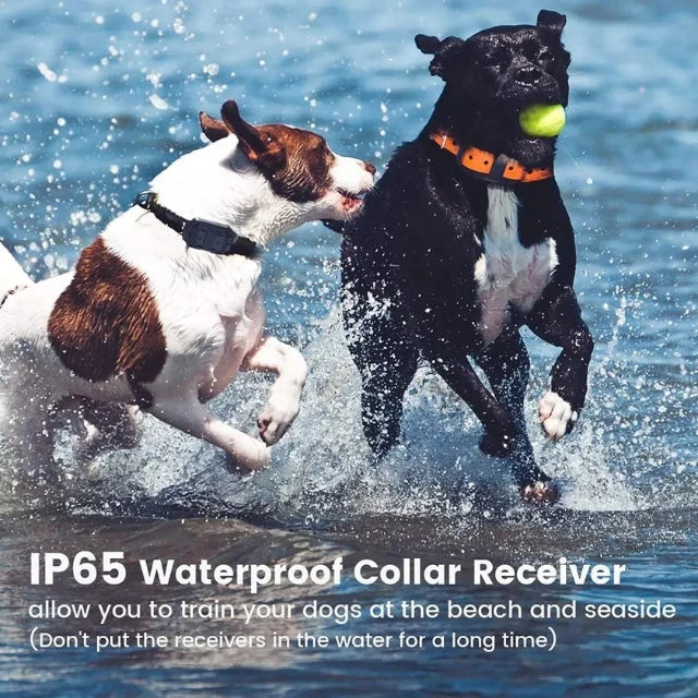 Dog Training Collar Waterproof Vibration & Static 0.5 Mile