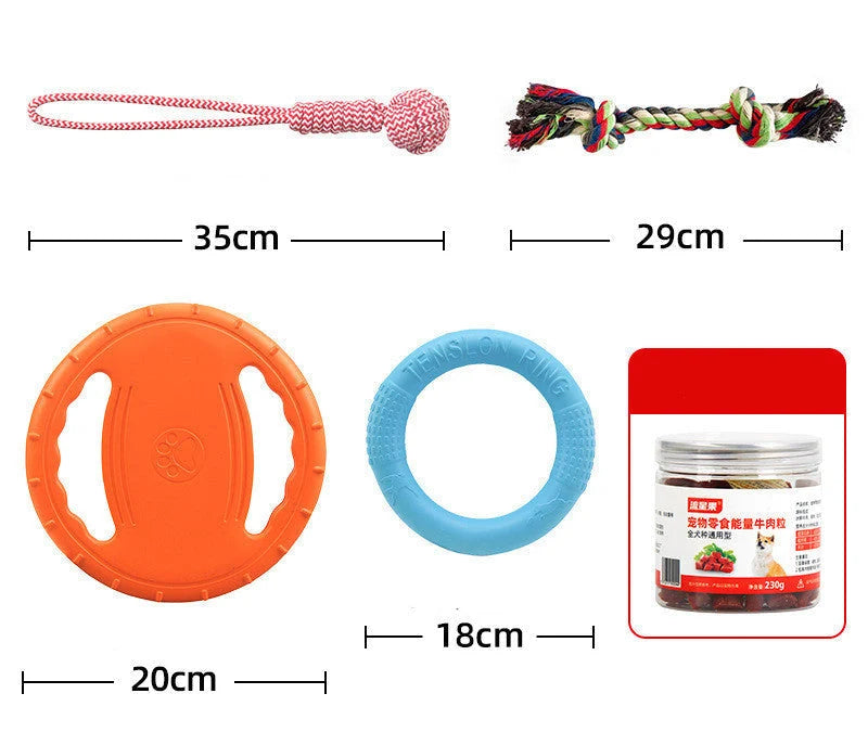 Dog Training Set Anti-Bite Frisbee & Chew Cubes
