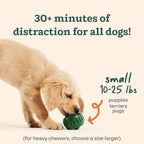 Dog Treat Ball Slow-Dispense Natural Rubber
