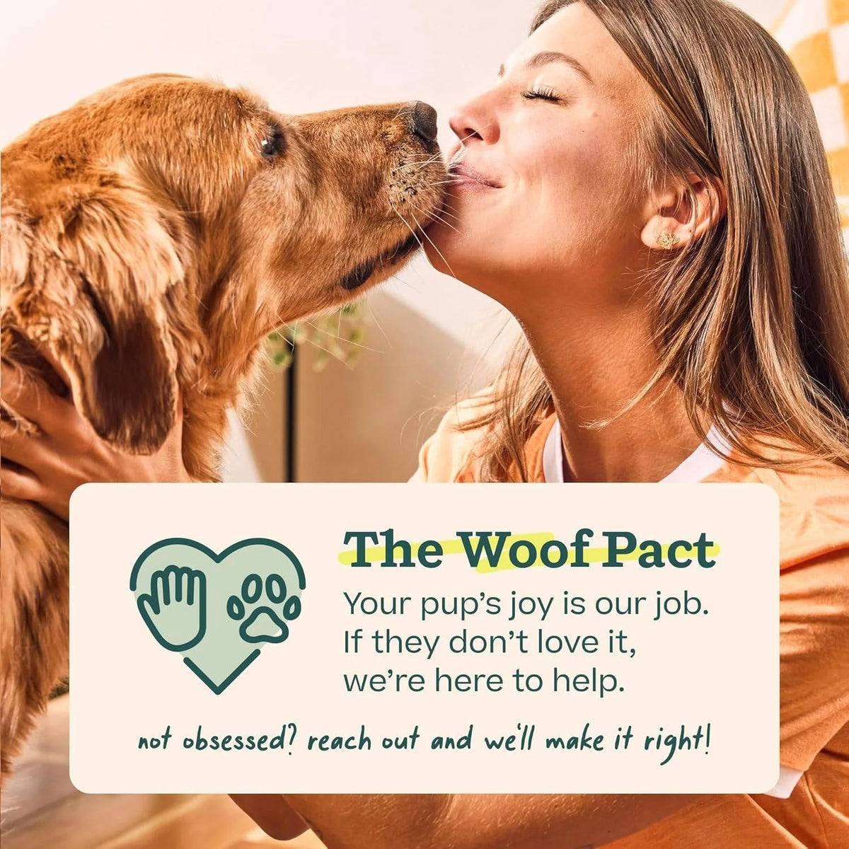 Dog Treat Ball Slow-Dispense Natural Rubber