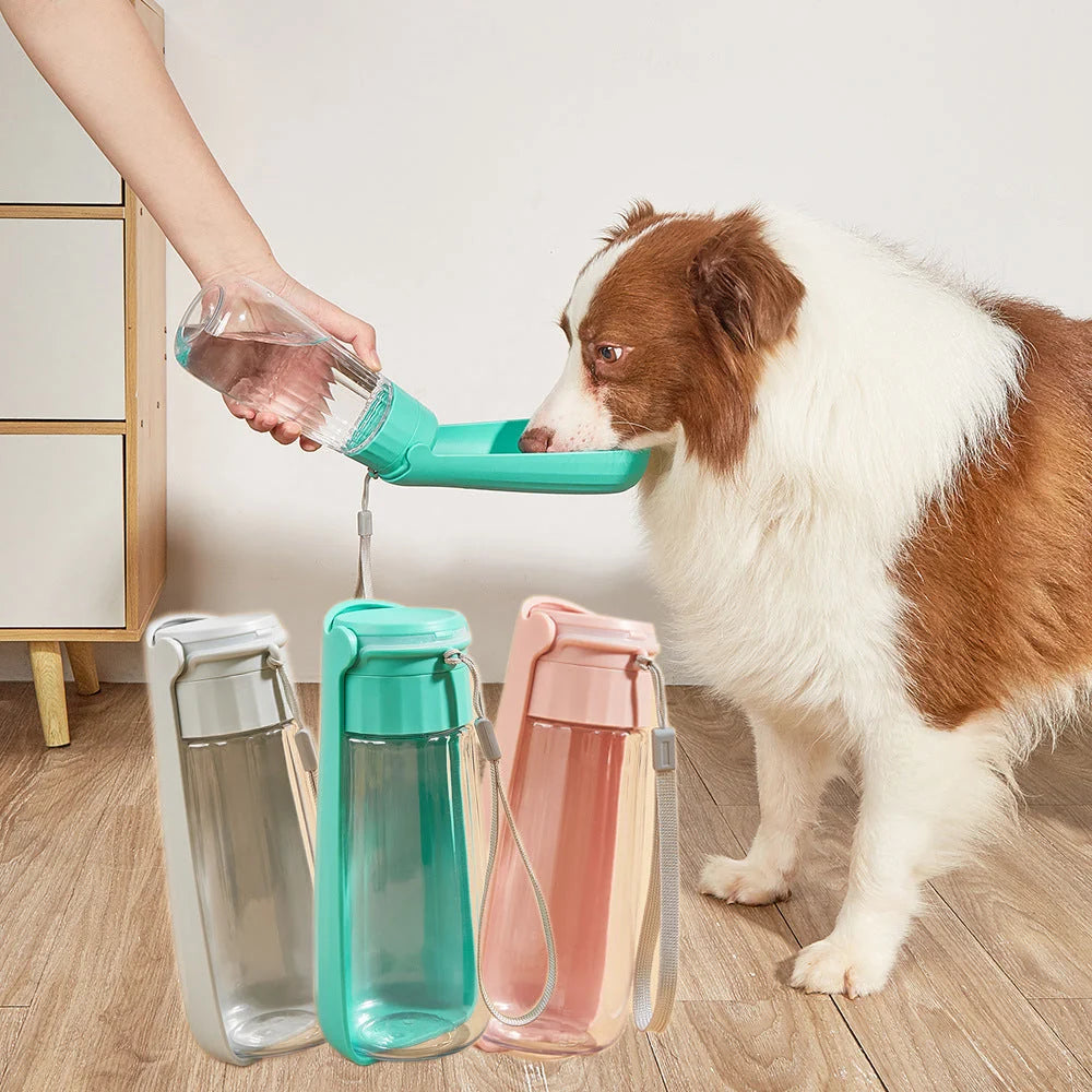 Dog Water Bottle Foldable Food-Grade 550ml