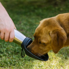 Dog Water Bottle Insulated Stainless Steel Leak-Proof Dispenser