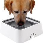 Dog Water Bowl Anti-Splash Floating Disk & Non-Slip Base