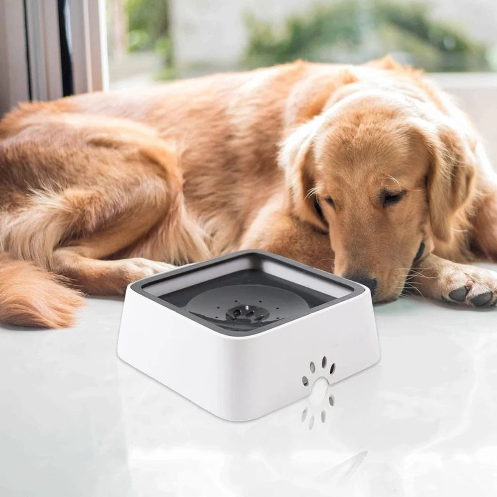 Dog Water Bowl Anti-Splash Floating Disk & Non-Slip Base
