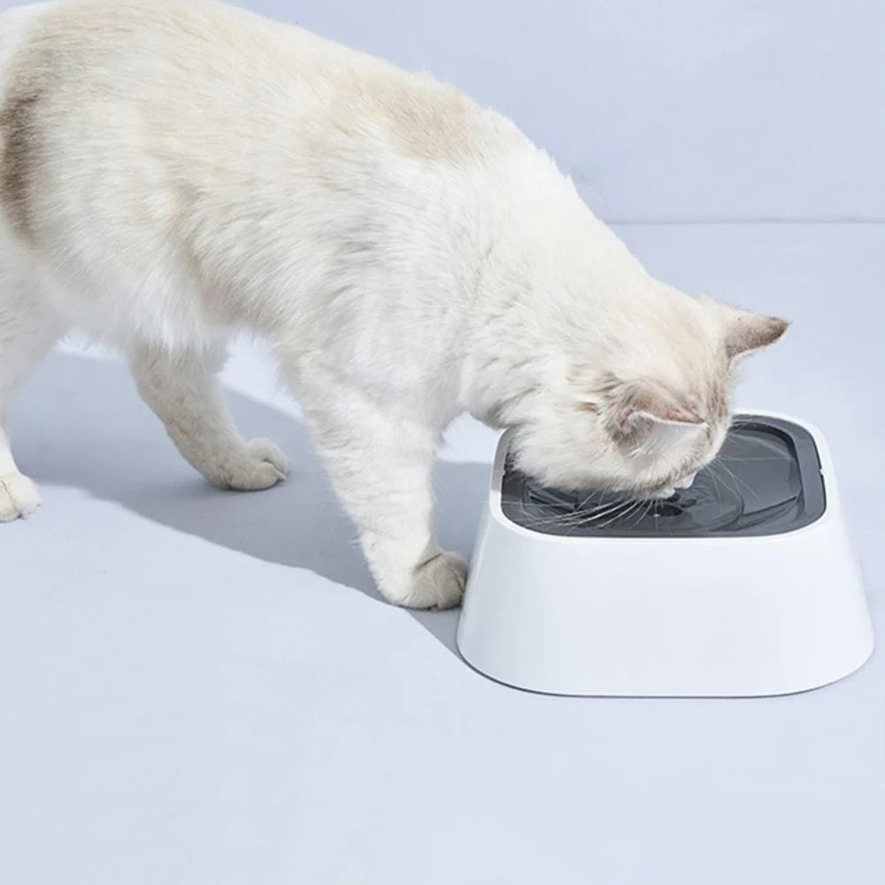 Dog Water Bowl Anti-Splash Floating Disk & Non-Slip Base