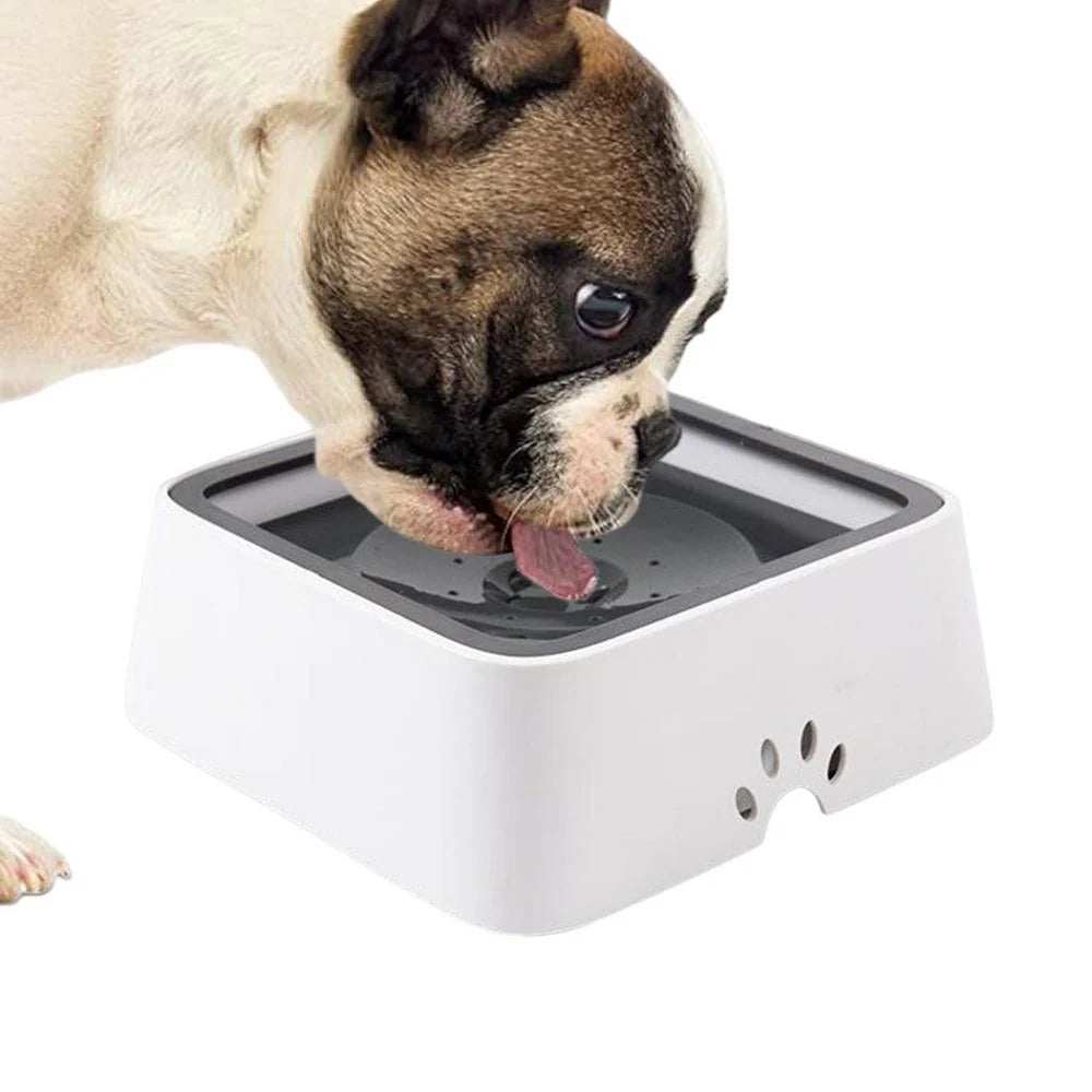 Dog Water Bowl Anti-Splash Floating Disk & Non-Slip Base