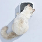 Dog Water Bowl Anti-Splash Floating Disk & Non-Slip Base