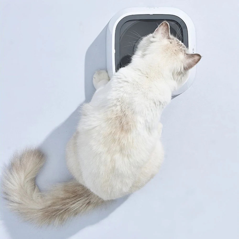Dog Water Bowl Anti-Splash Floating Disk & Non-Slip Base