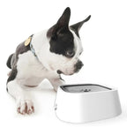 Dog Water Bowl Anti-Splash Floating Disk & Non-Slip Base