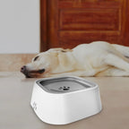 Dog Water Bowl Anti-Splash Floating Disk & Non-Slip Base