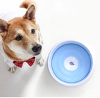 Dog Water Bowl Automatic Floating Plate Easy Clean